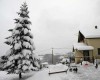 Household Tomašević - rural tourism
