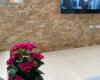 Apartmani Stefan Lux