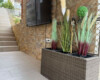 Apartmani Stefan Lux